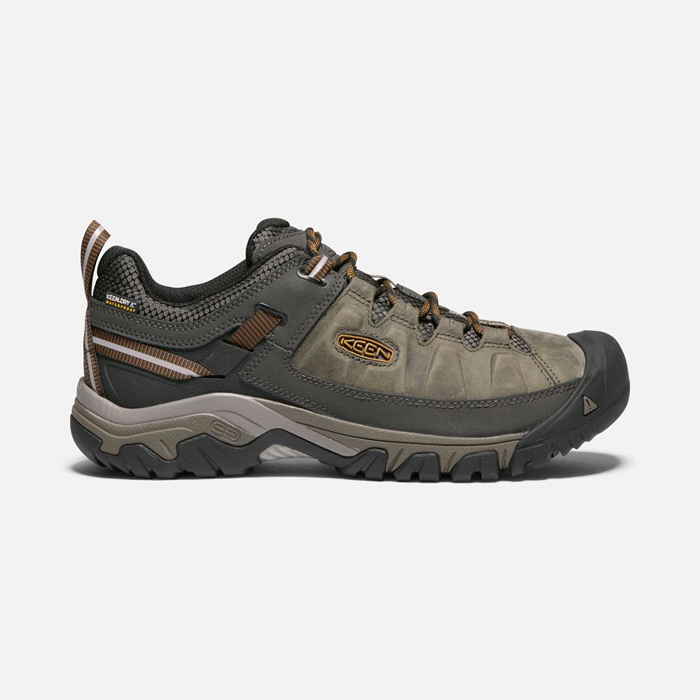 Chaussure de Randonnée Keen Homme Vert Olive/Noir | Targhee Iii Waterproof | ZJXGI-2504